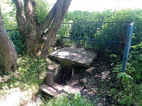 Липичненский родник