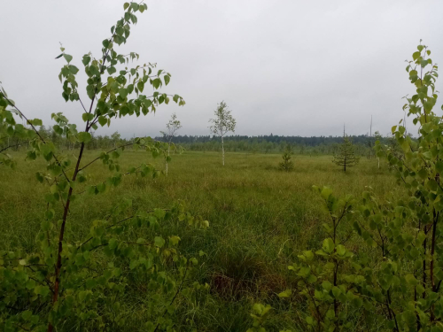 Заказник
 «Острова Дулебы»