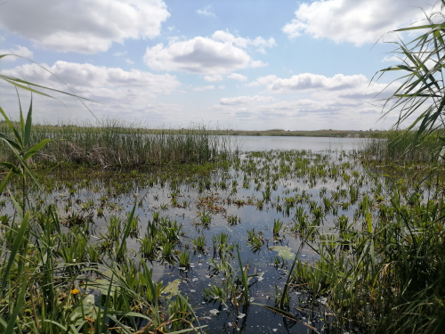 El Local nature reserves