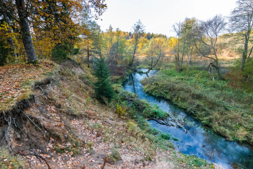 Обнажение «Полочаны»