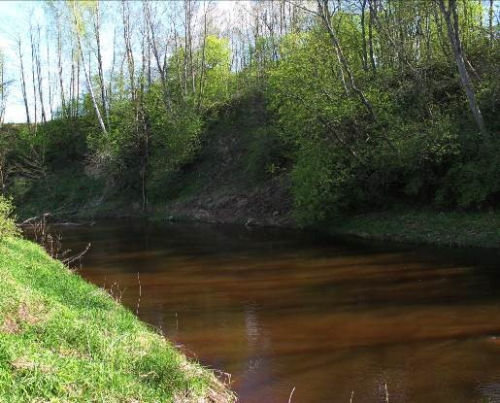 Sarjanskaya lowland area