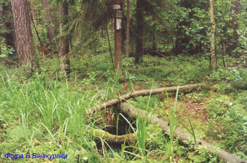 Uglovskoy holy spring