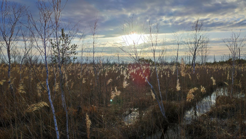 Заказник «Старый Жаден»