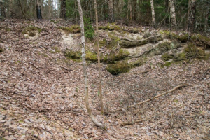 Обнажение «Винцентово»