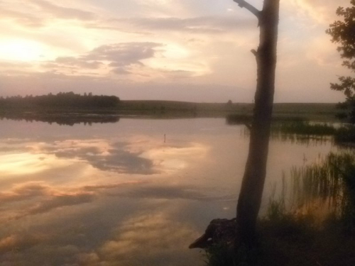 Заказник «Пойма реки Друть»