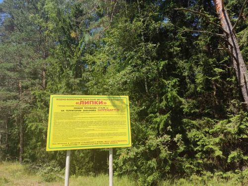 Заказник «Липки»