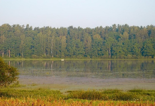 Reserve Pridvinje