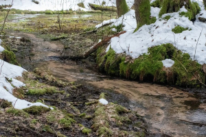 Памятник природы «Большой Болцикский»