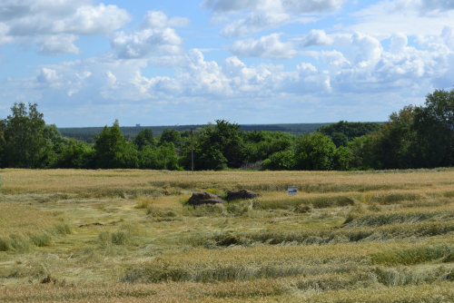 Geological conglomerate