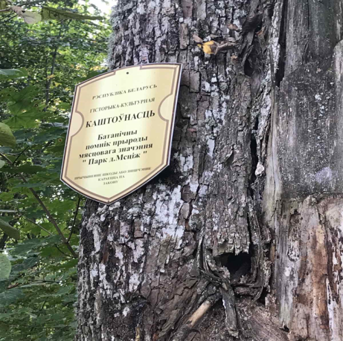 Парк в д. Мстиж