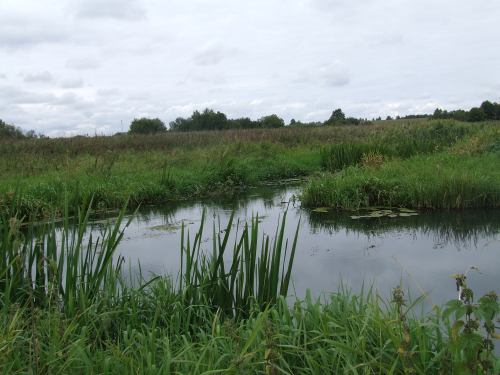 Skriputevo nature reserve