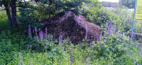 Валун «Каменный вол» кузьмичевский
