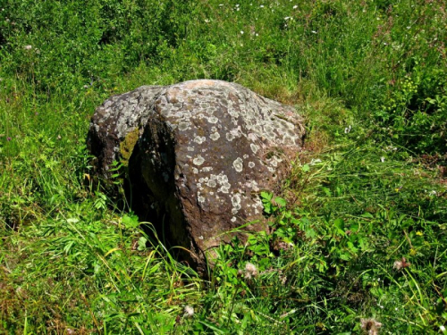 Валун Прусогорский