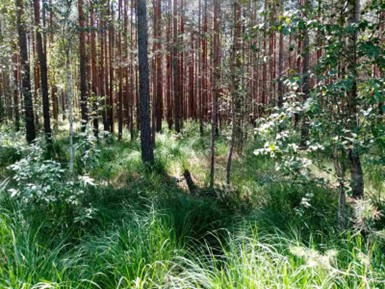 Заказник «Христы»