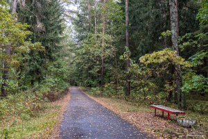 Заказник «Юхновский»