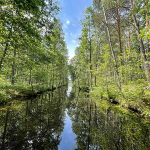 Pribuzhskoe Polesie Nature Reserve