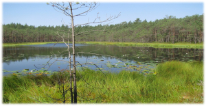 Kotra Nature Reserve