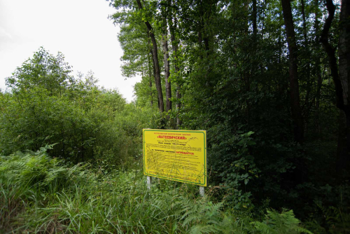 Заказник «Матеевичский»