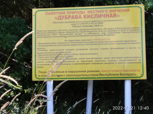 Дубрава кисличная