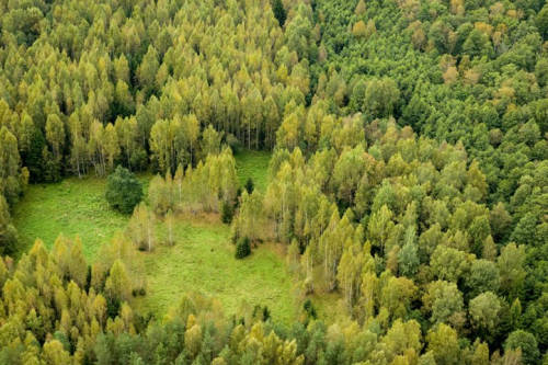 Березинский биосферный заповедник