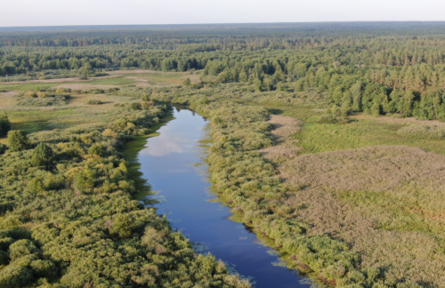 Заказник «Белуга»