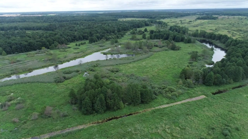 Вепринская дубрава