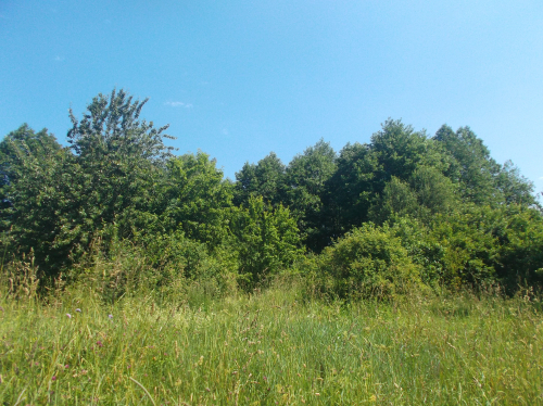 Гряда «Тюкшинская»