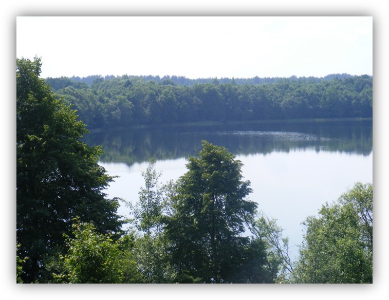 Dolgoe Nature Reserve