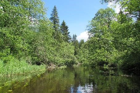 Verkhovje Lovati nature reserve