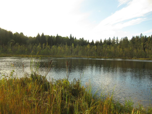 Reserve Mezhevskaya Esker Ridge