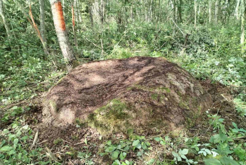 Валун «Захараў камень»