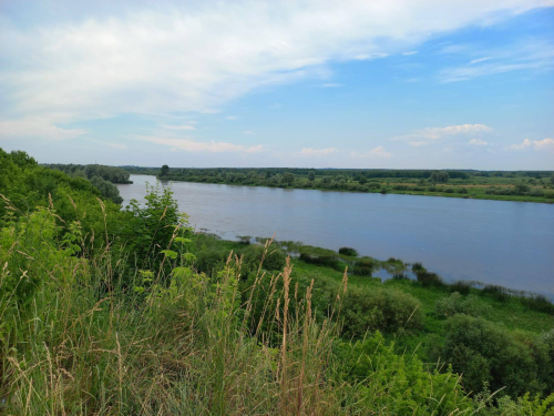 Заказнік «Сярэдняя Прыпяць»