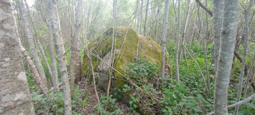 Валун Заазерскі