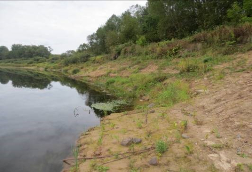 Суражскія агаленні