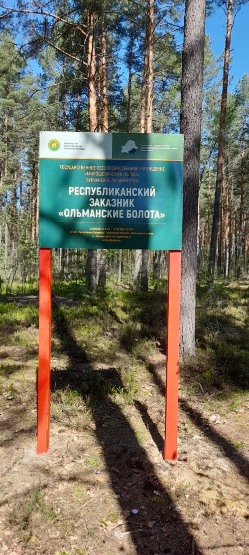 Заказнік «Альманскія балоты»