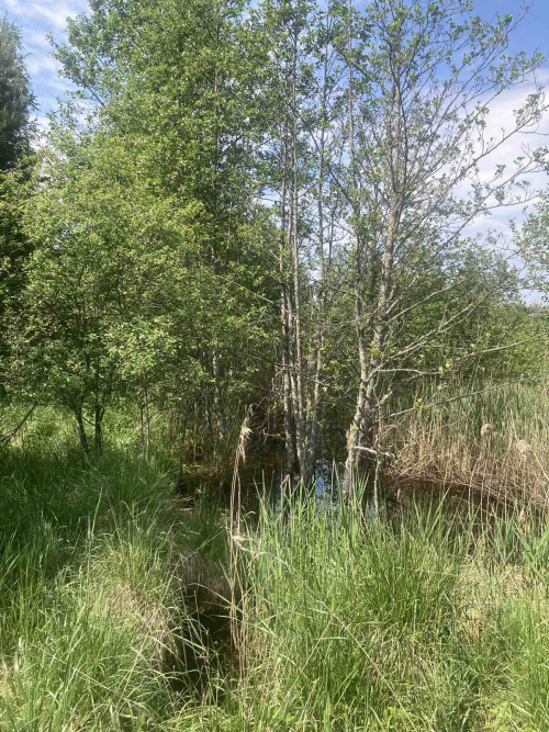 Заказнiк «Зуйка»