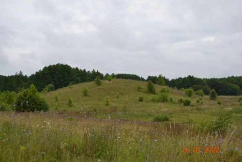 Пагорак "Гара Лысая"