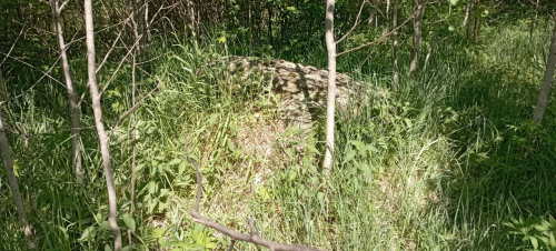 Ізбішчанскі вялікі камень