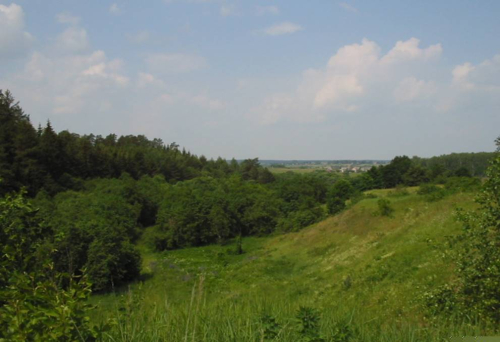 Рудакоў роў