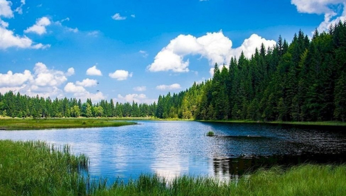 Заказнiк «Дымаўшчына»