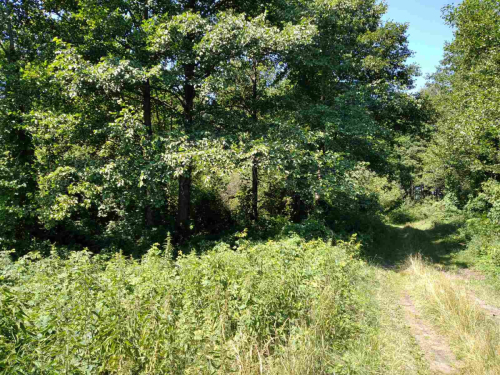 Чырвонае возера