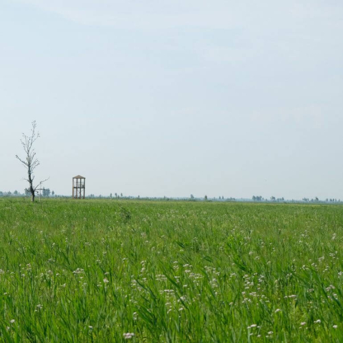 Заказнік «Званец»