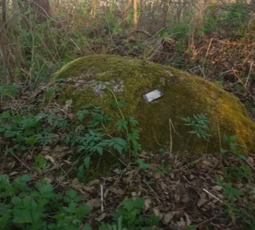 Шатанскі камень Расонскі