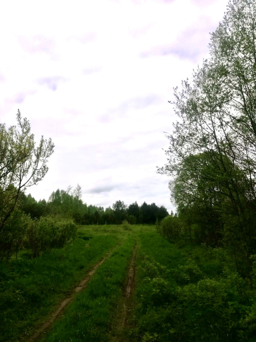 Заказнiк «Вялікая Лука»