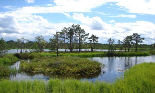 Boloto Moh Nature Reserve