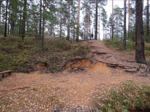 Beloozerskie Vydmy nature reserve