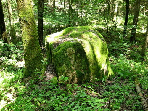 Voshchinikinsky boulder