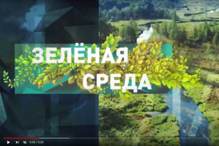 Болота Беларуси | Зеленая среда | Наше утро | ОНТ | выпуск от 29 октября 2022 г.