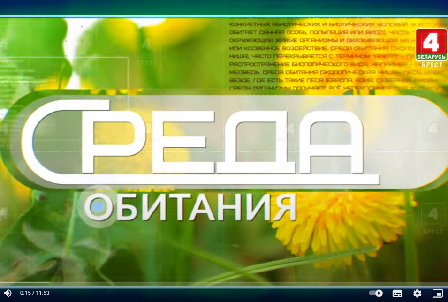 О вреде искусственных цветов | Среда обитания | Беларусь 4 / ТРК Брест | выпуск от 18 апреля 2024 г.