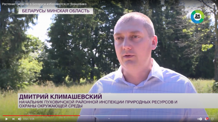 
 Растение-монстр: в Беларуси избавляются от борщевика
 